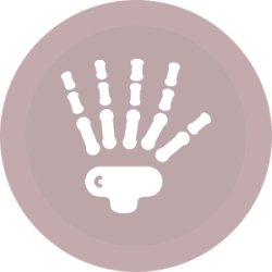 fisiosport prevencio